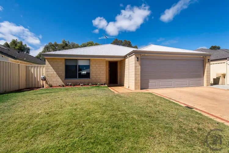 Main view of Homely house listing, 74 Highcliffe Circle, Lakelands WA 6180