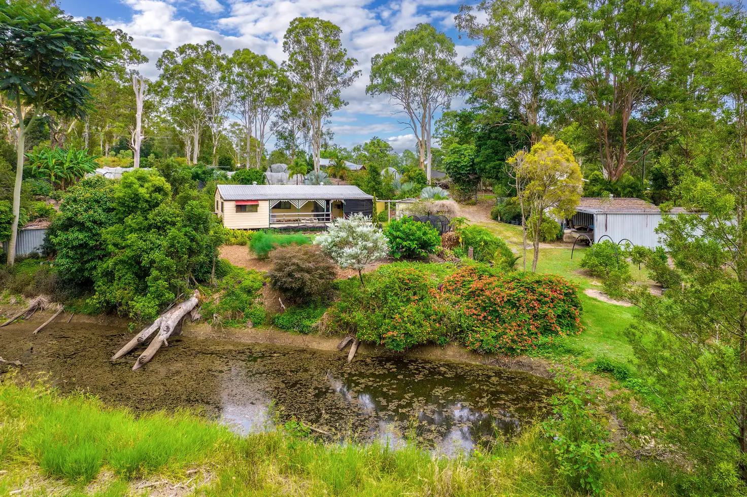Main view of Homely rural property listing, 381 Eel Creek Road, Pie Creek QLD 4570