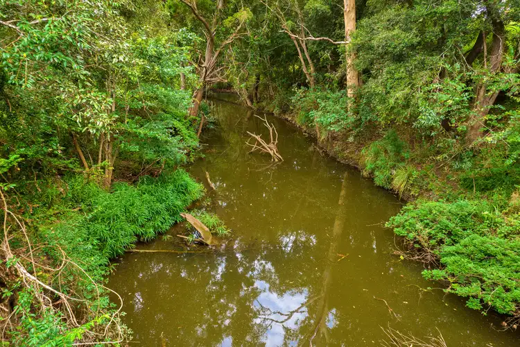 Fourth view of Homely rural property listing, 381 Eel Creek Road, Pie Creek QLD 4570