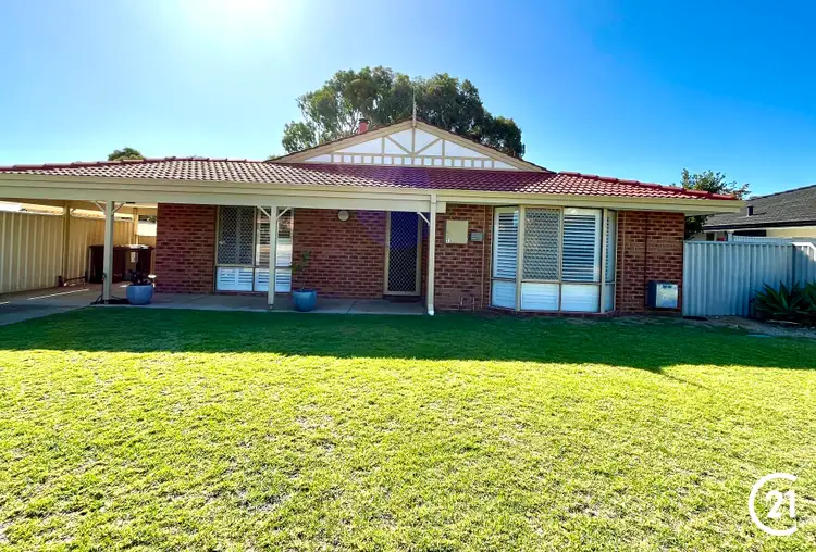 Main view of Homely house listing, 23 Tamarisk Drive, Halls Head WA 6210