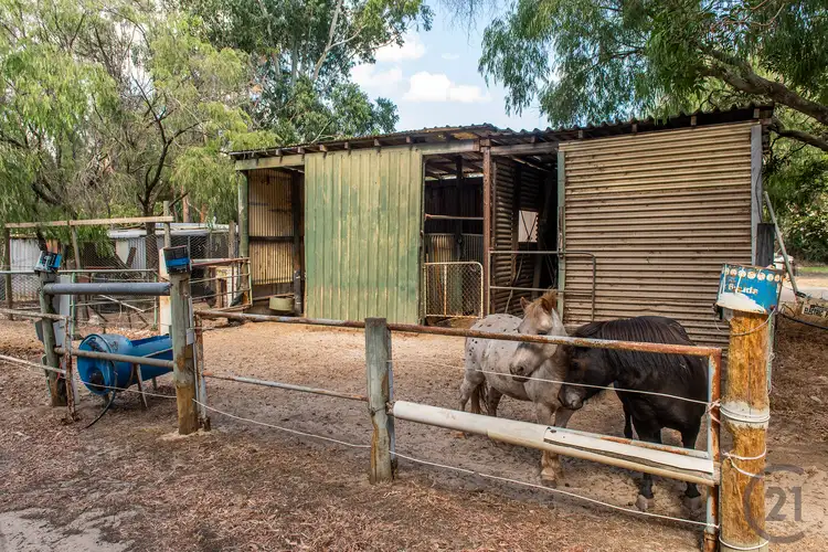 Fourth view of Homely house listing, 97 Murray River Drive, South Yunderup WA 6208