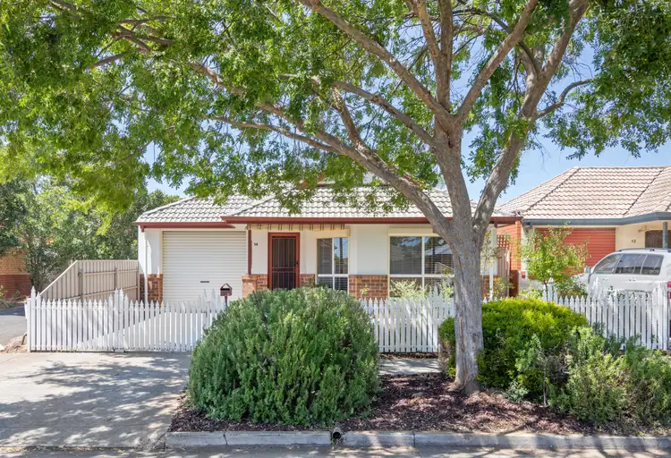 Main view of Homely house listing, 14 Maldon Avenue, Mitchell Park SA 5043