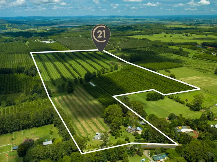 Second view of Homely rural property listing, 55 Rous Road, Alstonville NSW 2477