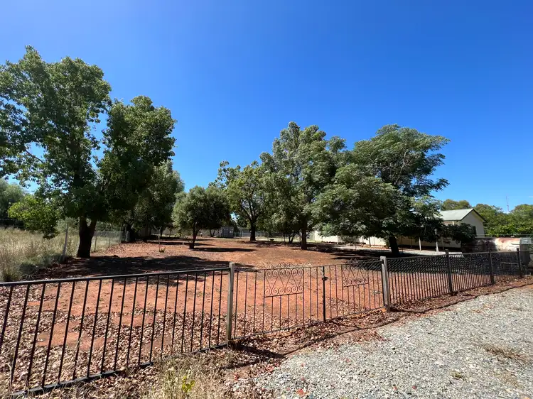 Main view of Homely land listing, 49 Lachlan Street, Bogan Gate NSW 2876