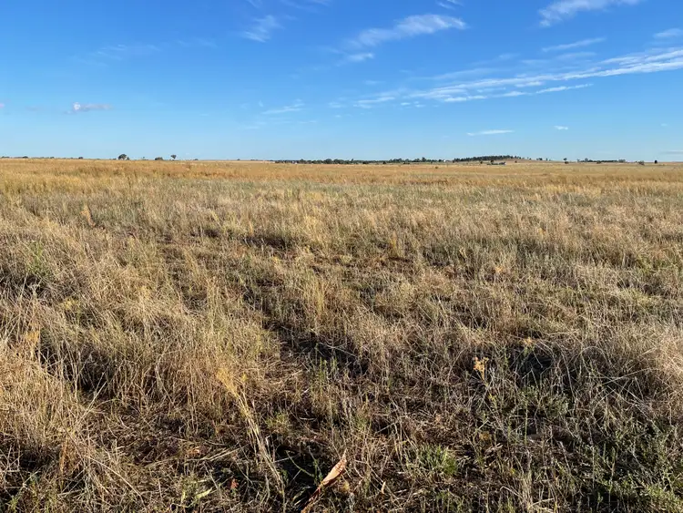 Seventh view of Homely land listing, Lot 81 Dawes Road, Forbes NSW 2871