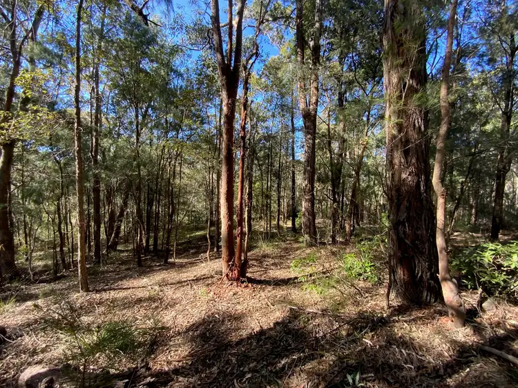 Main view of Homely land listing, 10 Farm Road, Springwood NSW 2777