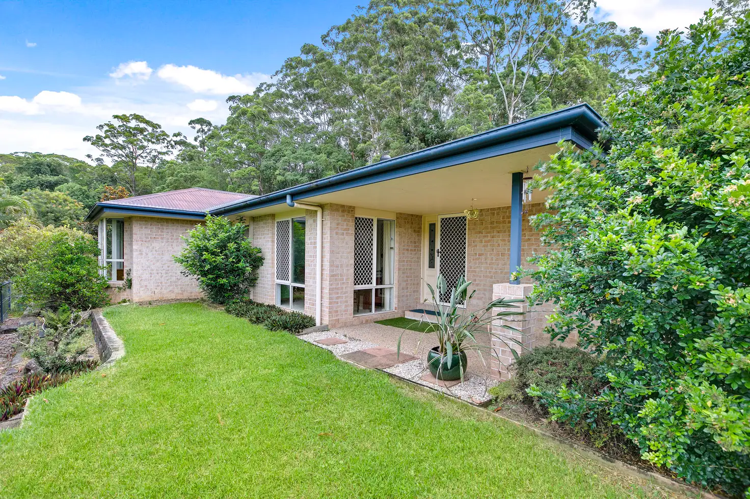 Main view of Homely house listing, 3 Tia Close, Palmwoods QLD 4555