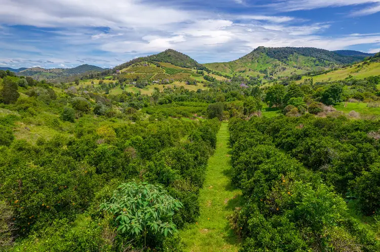 Fourth view of Homely rural property listing, 55 Cumbrae Road, Marys Creek QLD 4570
