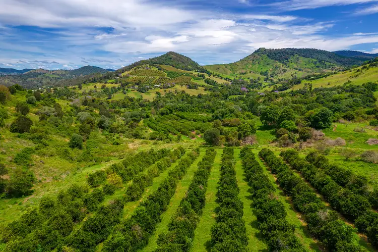 Seventh view of Homely rural property listing, 55 Cumbrae Road, Marys Creek QLD 4570