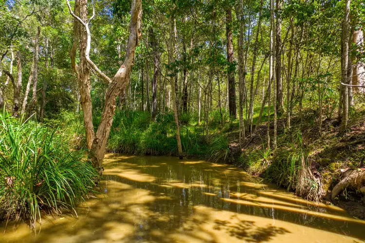 Fifth view of Homely land listing, Lot 622 Arbortwenty Four Road, Glenwood QLD 4570