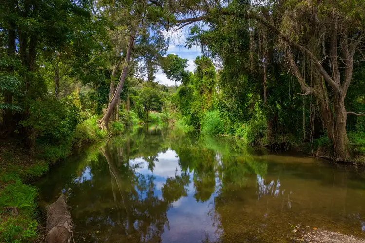 Sixth view of Homely rural property listing, 140 Long Road, Pie Creek QLD 4570