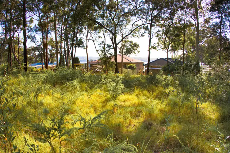 Lot 1 The Ridgeway, North Arm Cove NSW 2324