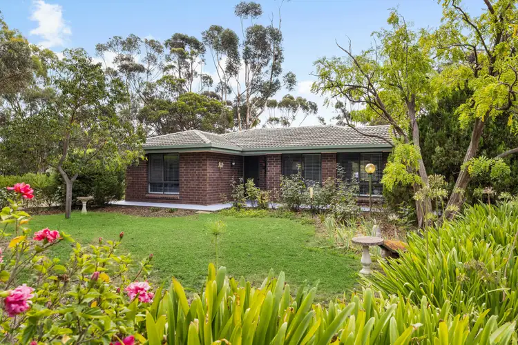 Main view of Homely house listing, 35 Roper Road, Willyaroo SA 5255