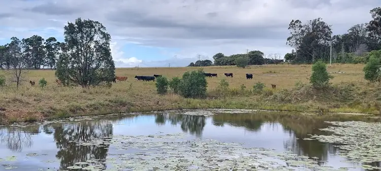 745 Avenue Road, Ellangowan NSW 2470