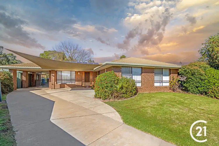 Main view of Homely house listing, 11 Ostram Court, Echuca VIC 3564