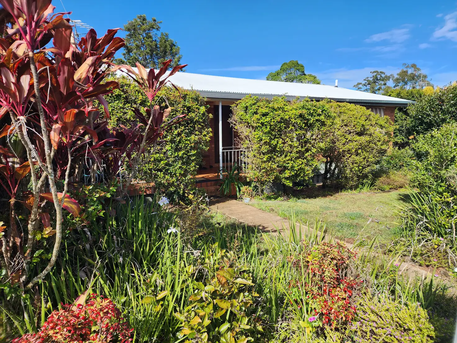 Main view of Homely house listing, 11 Junee Court, Woombye QLD 4559