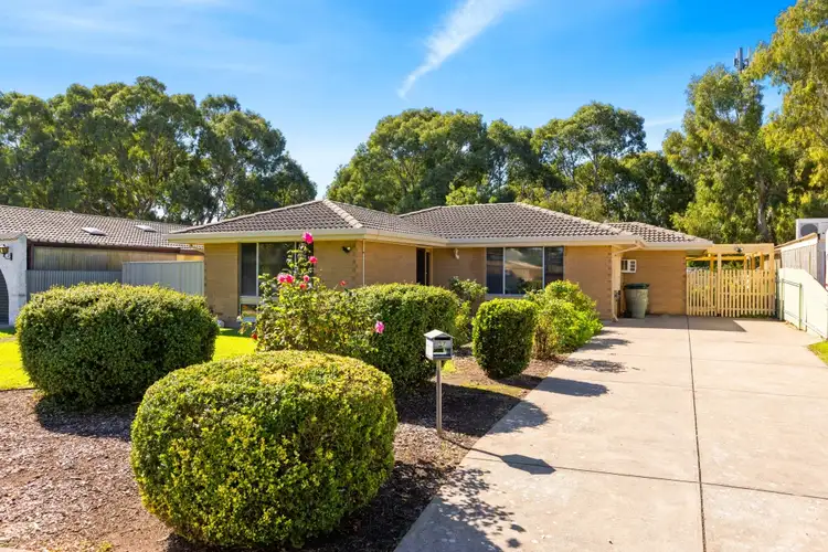 17 Avon Avenue, Morphett Vale SA 5162