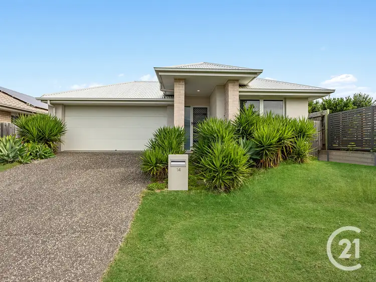14 Candlenut Street, Ripley QLD 4306