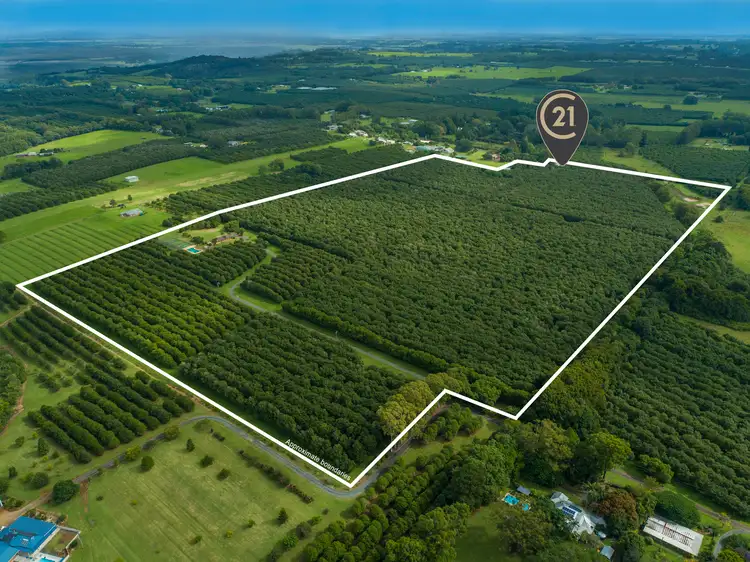 425 Wardell Road, Alstonville NSW 2477