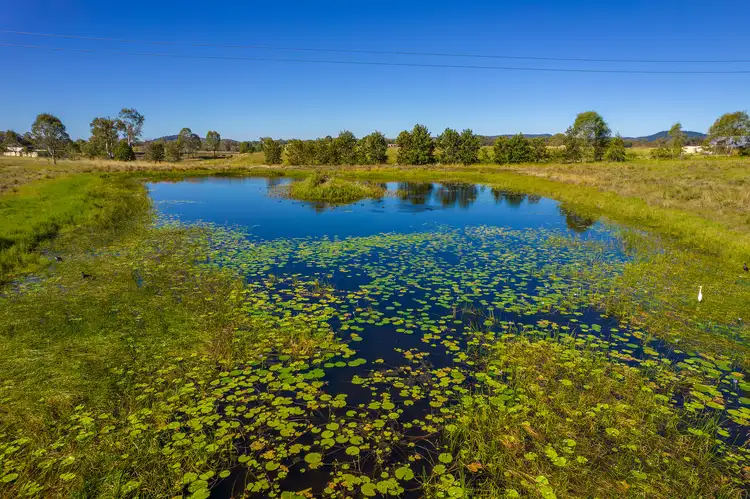 Main view of Homely rural property listing, 211 Harvey Road, Lower Wonga QLD 4570