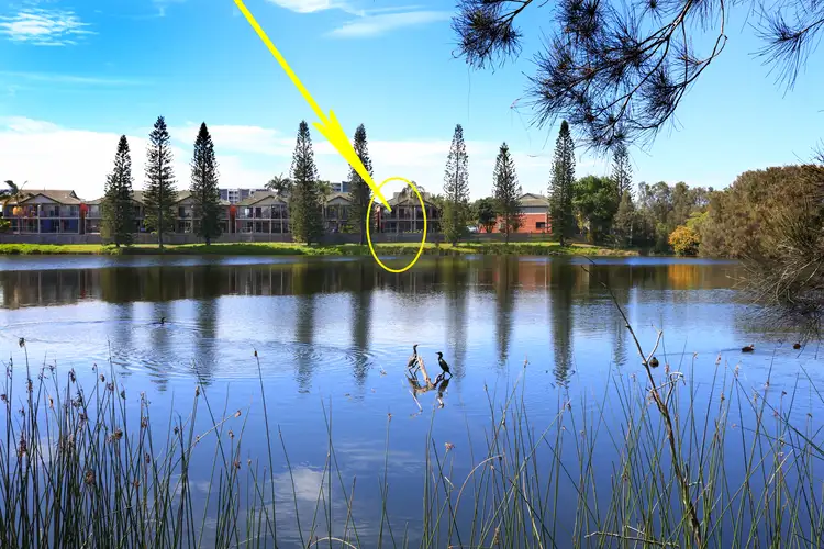 53/7-9 Santa Cruz Boulevard, Clear Island Waters QLD 4226
