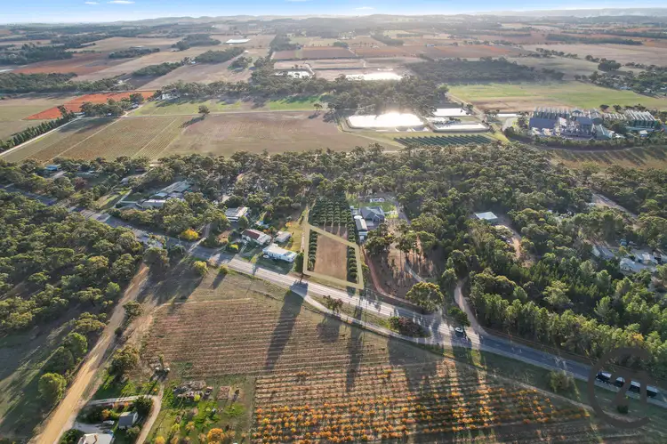 Third view of Homely rural property listing, Lot 453 Sturt Highway, Nuriootpa SA 5355
