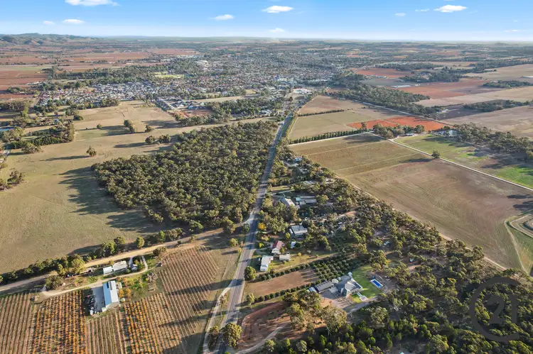 Fourth view of Homely rural property listing, Lot 453 Sturt Highway, Nuriootpa SA 5355