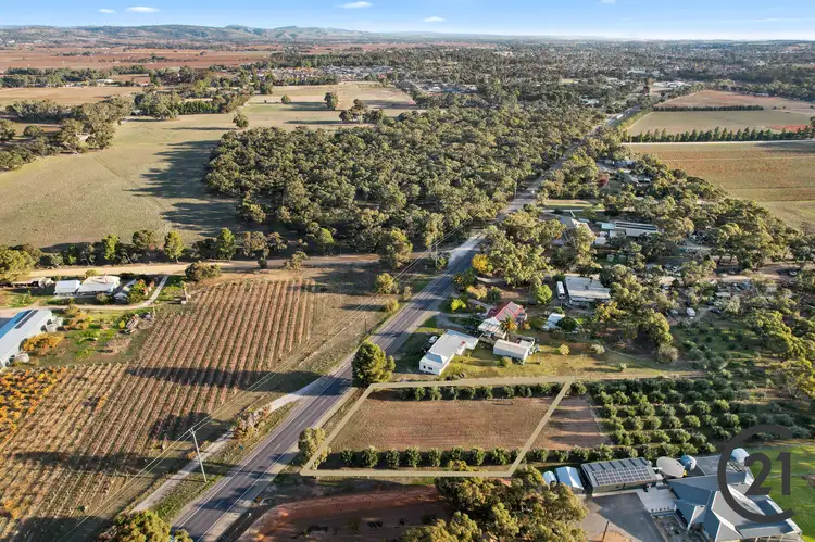Fifth view of Homely rural property listing, Lot 453 Sturt Highway, Nuriootpa SA 5355