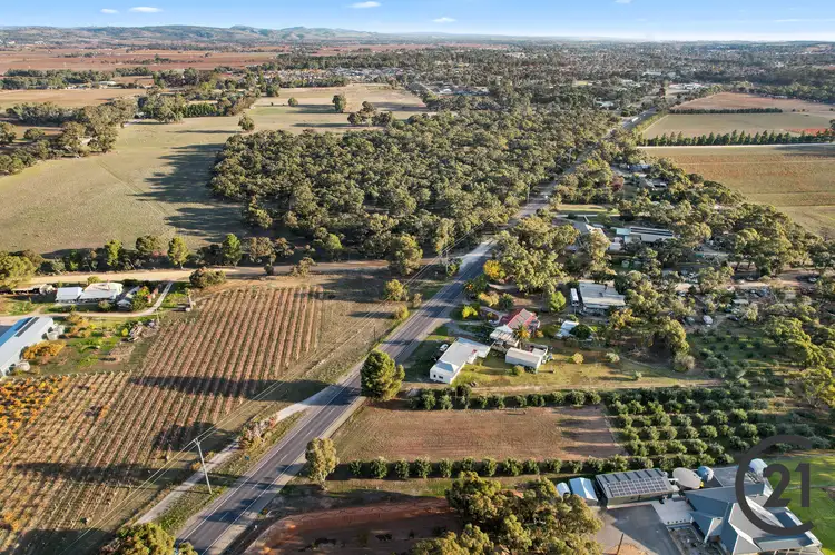 Sixth view of Homely rural property listing, Lot 453 Sturt Highway, Nuriootpa SA 5355