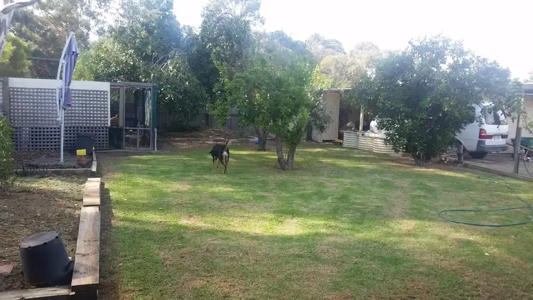 Third view of Homely house listing, 47 Peake Terrace, Coonalpyn SA 5265