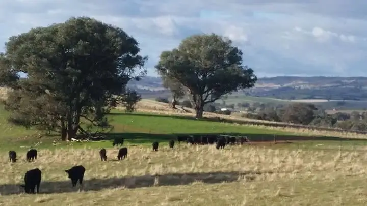 Main view of Homely land listing, Address available on request