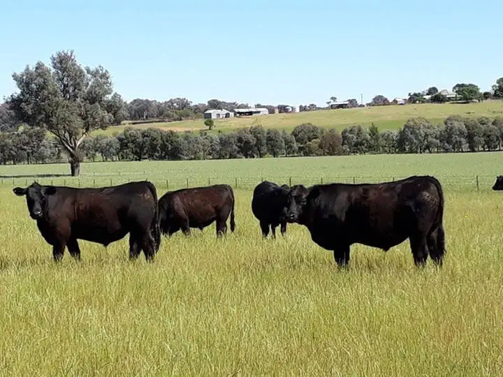 Fifth view of Homely land listing, Address available on request