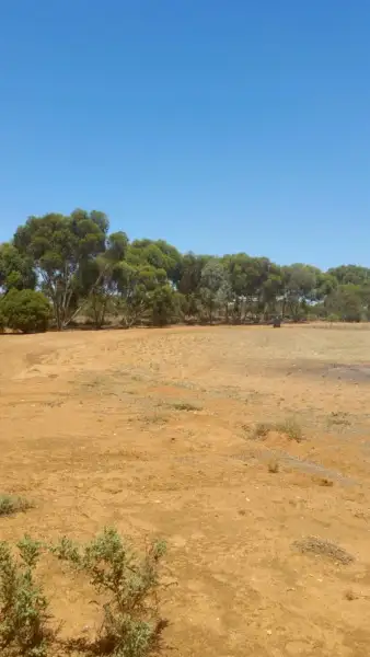 Fourth view of Homely land listing, Lot 45 Martha Street, Caloote SA 5254