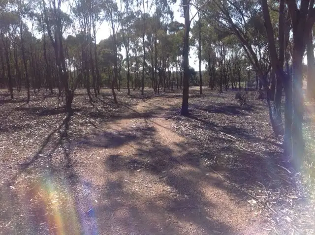 Fourth view of Homely land listing, 198 Enright Road, Eppalock VIC 3551