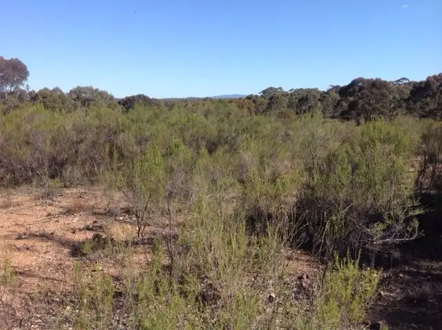Fifth view of Homely land listing, 198 Enright Road, Eppalock VIC 3551