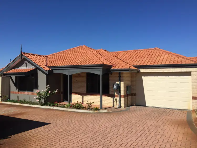 Main view of Homely villa listing, 71/40-44 Worley Street, Willagee WA 6156