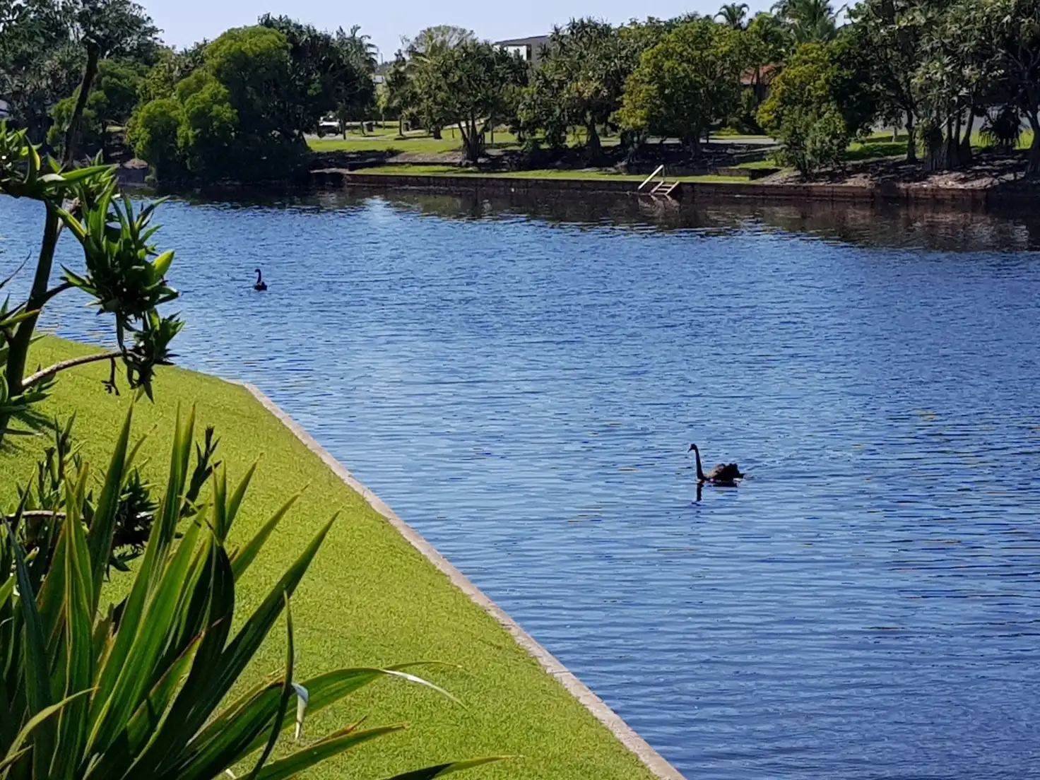 Main view of Homely villa listing, 131/2 Peregrine Drive, Wurtulla QLD 4575