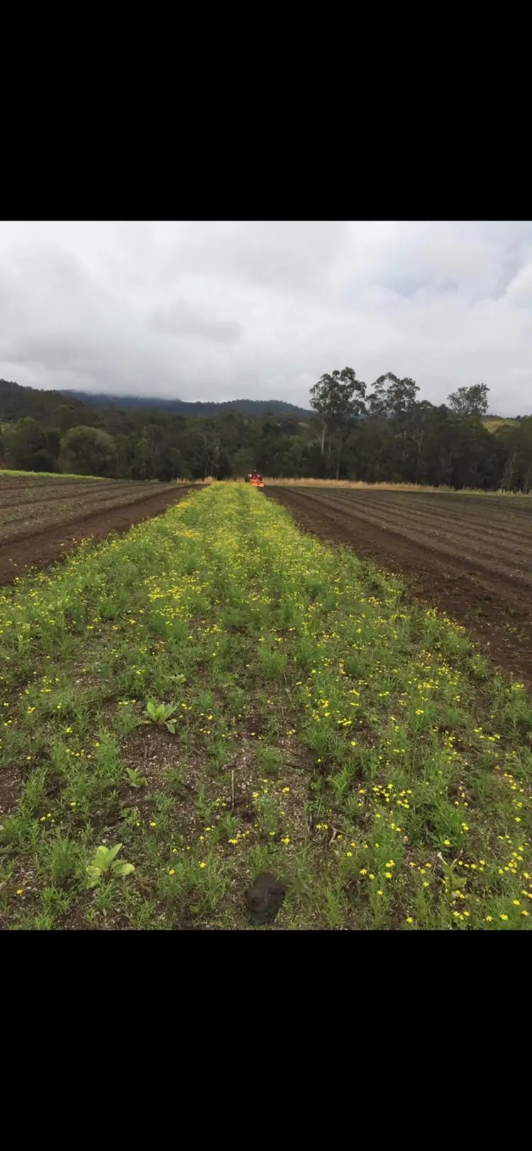 156 Dennis Road, Mungay Creek NSW 2440