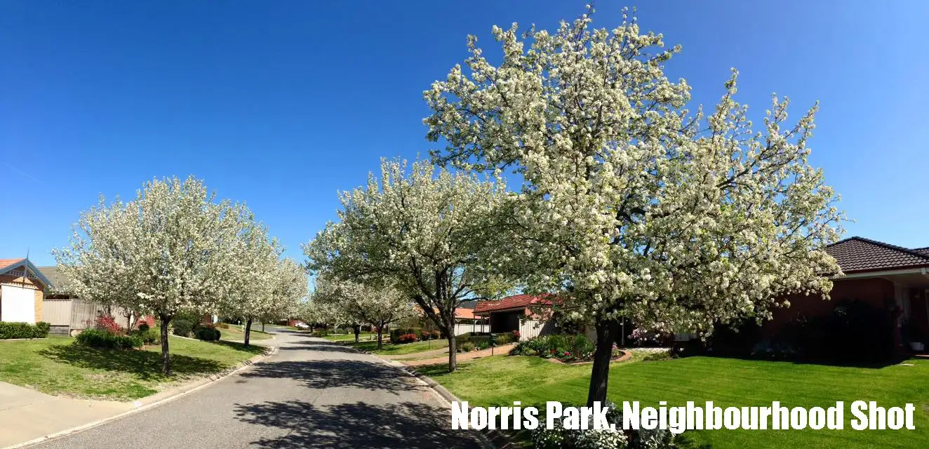 Main view of Homely house listing, 84 Wright Street, Glenroy NSW 2640