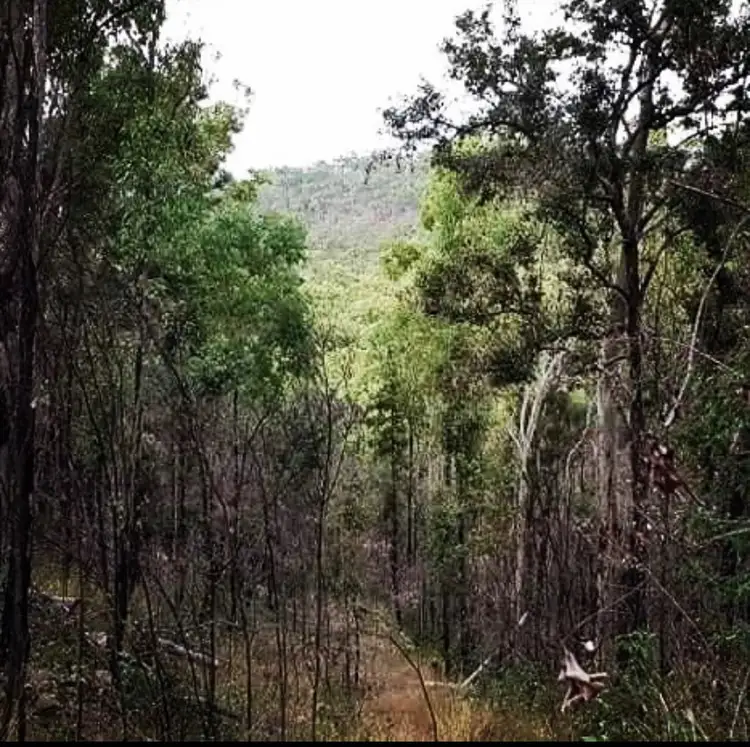 Second view of Homely land listing, 477 Doughboy Road, Doughboy QLD 4671