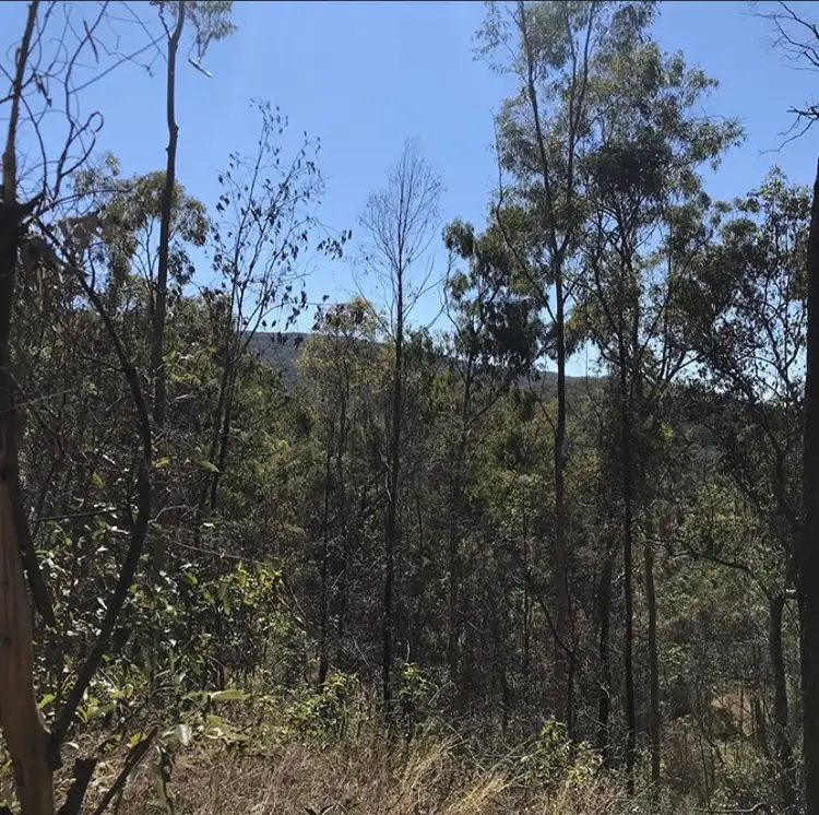 Third view of Homely land listing, 477 Doughboy Road, Doughboy QLD 4671