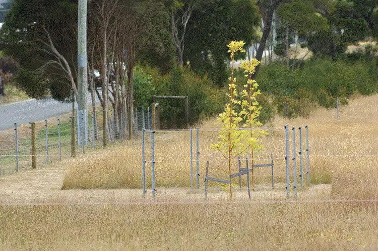 Main view of Homely land listing, 356 Clarence Point Road, Clarence Point TAS 7270