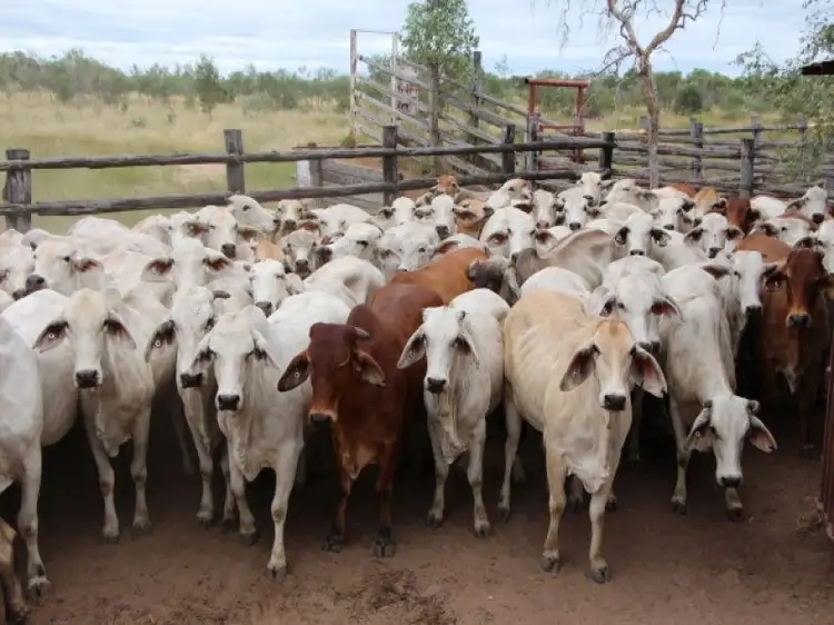 Charters Towers QLD 4820