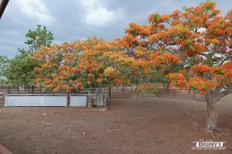 Fifth view of Homely rural property listing, MAITLAND STATION Kennedy Developmental Road, Greenvale QLD 4816