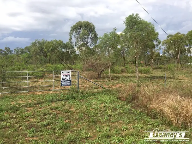 Main view of Homely land listing, 67 Wilson Court, Breddan QLD 4820