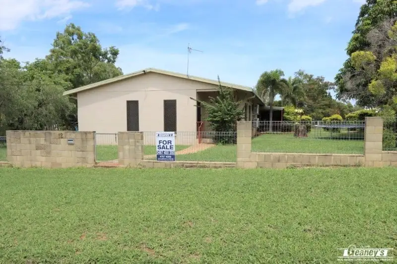 Main view of Homely house listing, 12 Brisk Street, Queenton QLD 4820