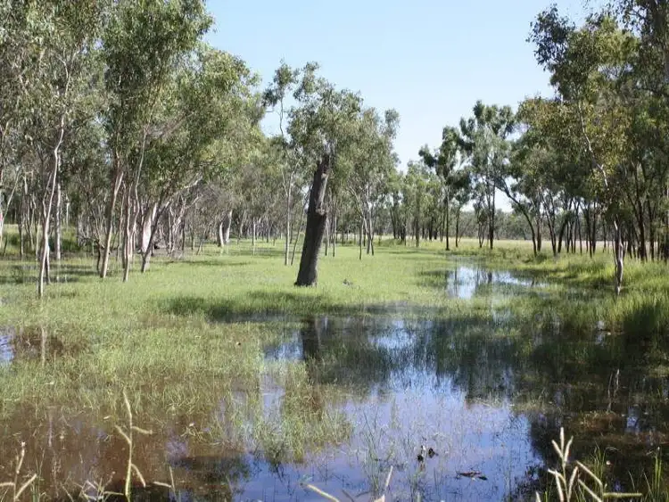 Third view of Homely rural property listing, Pentland QLD 4816