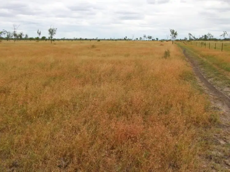 Seventh view of Homely rural property listing, Charters Towers QLD 4820