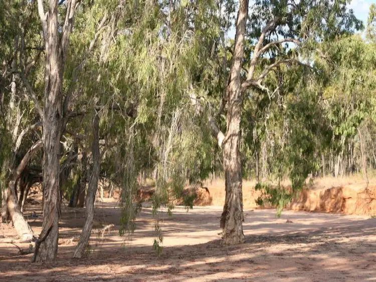 Sixth view of Homely rural property listing, Address available on request