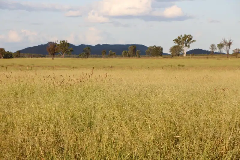 Main view of Homely rural property listing, Address available on request